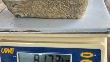 Doré poured on 5 January 2026