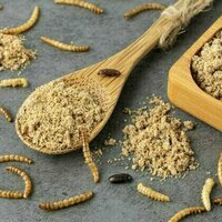 'I will not eat the bugs': examining a right-wing narrative about scarcity and insect consumption