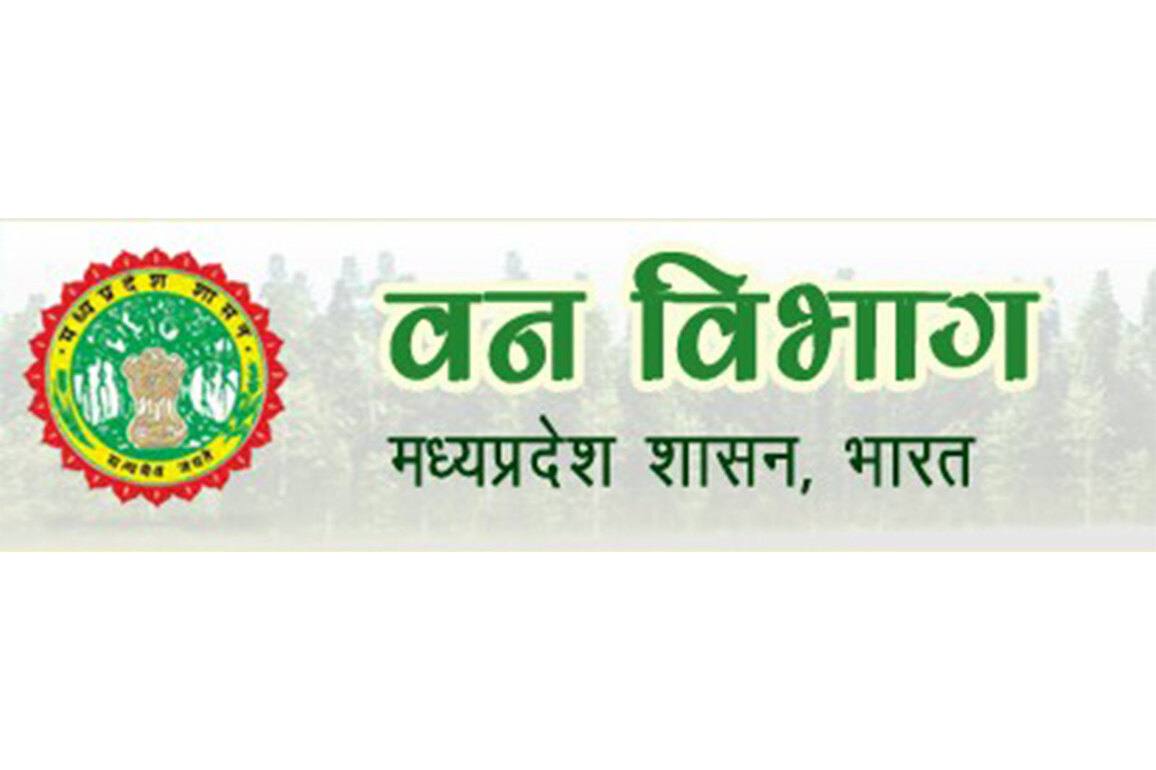 MP Forest Department sets up 'Legal Cell' to monitor court cases