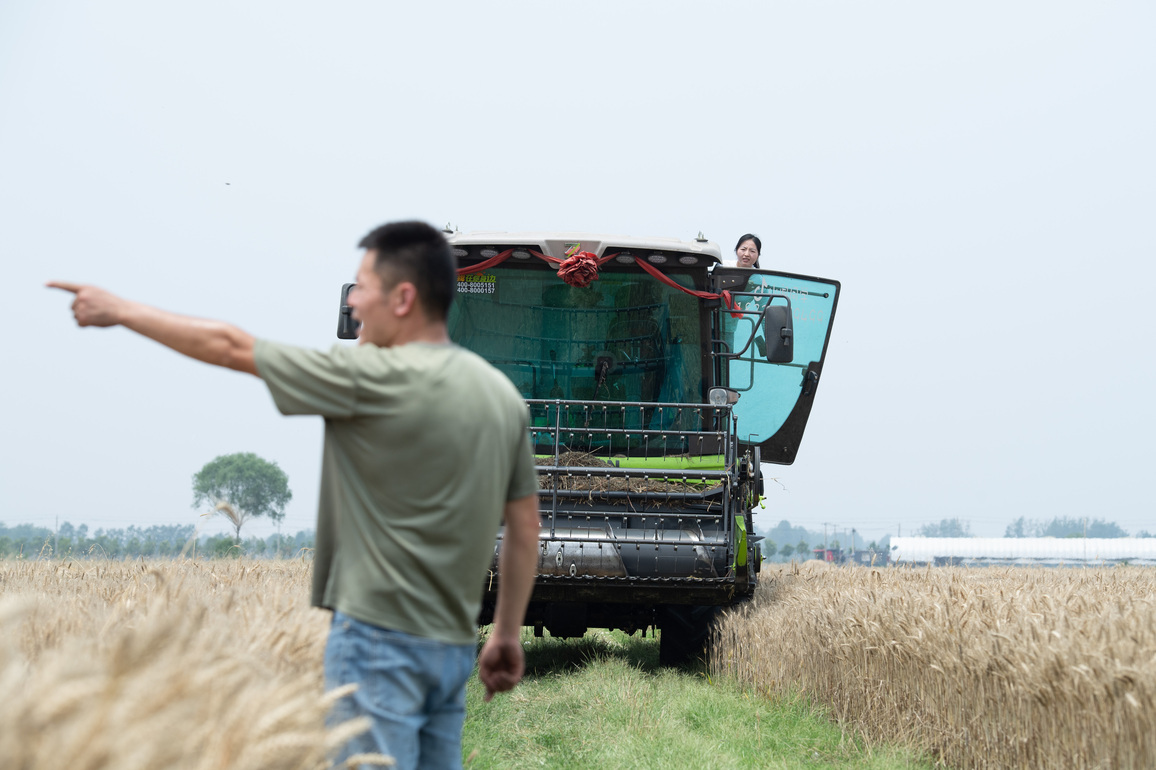 CHINA-ANHUI-SUZHOU-MIGRATORY WHEAT HARVESTER (CN)