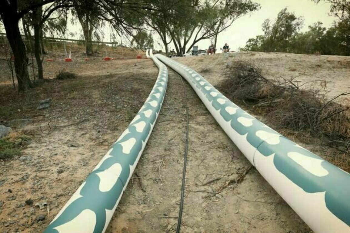 How a new 'Fishheart' project is combining science, community and Indigenous art to restore life in the Baaka-Darling River