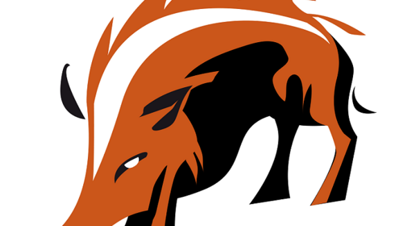 What are our governments actually funding?