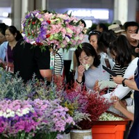 #CHINA-YUNNAN-KUNMING-SUMMER-FLOWER MARKET (CN)
