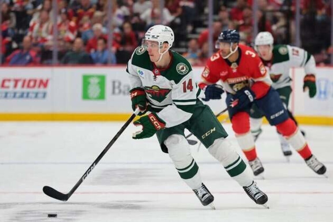 Wild extend Panthers' struggles with game-winner in closing seconds