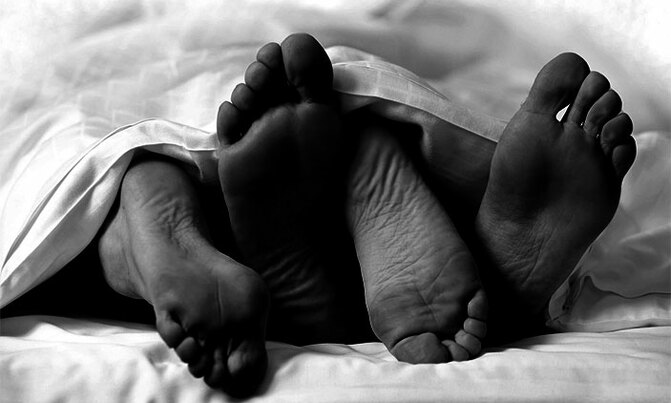 Sex exists to avoid disease, study shows Sex exists to avoid disease, study shows