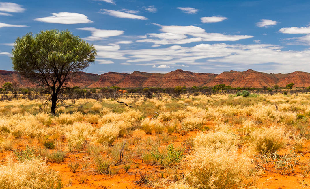 Abercromby landscape/