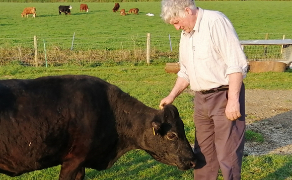 'True character' cow celebrates 25th birthday