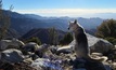  Eagle Mountain is sniffing out more metal in Arizona