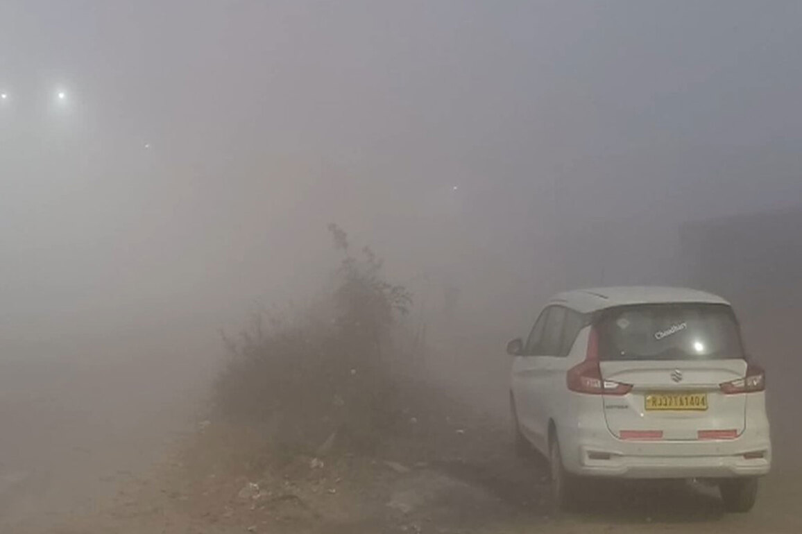 Cold Wave Intensifies in Rajasthan; heavy fog reduces visibility in Jaipur