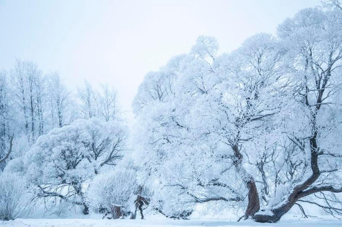 Latvia experiences coldest winter in more than a decade
