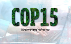 Biodiversity COP15: How can investors support biodiversity commitments?
