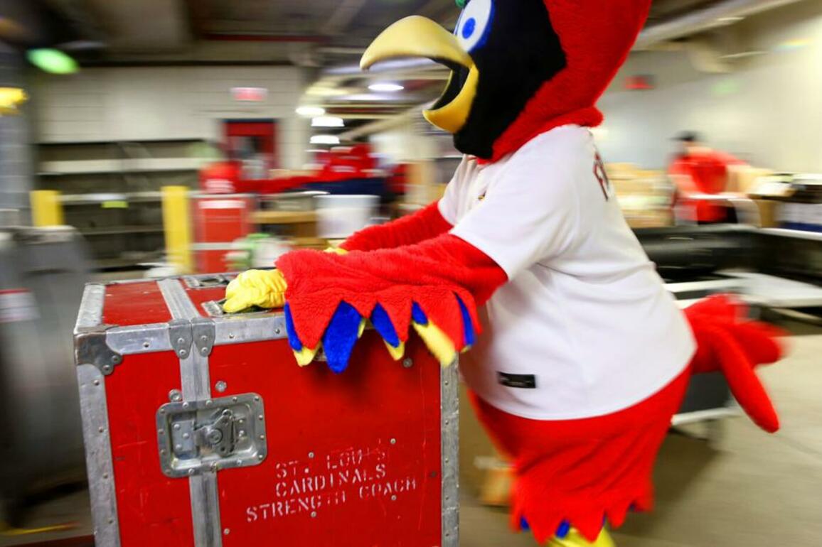 What Cardinals must pack to bring home success on road trip- First Pitch