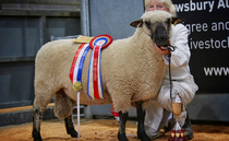 Have your say on the future of the Shows & Sales Newsletter