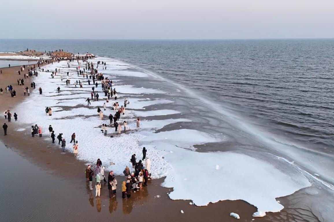 Decoding ocean mysteries: China's LangYa large model set for major upgrade
