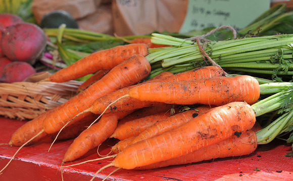 Organic sector faces effective ban on exports