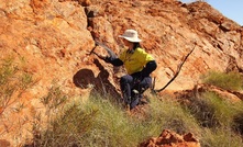  Pegmatite sampling at Andover