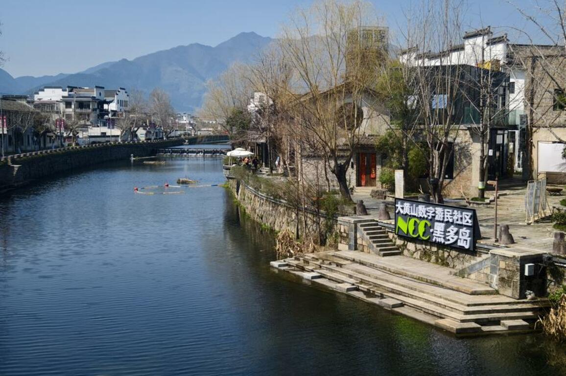 Digital nomads breathe new life to rural revitalization
