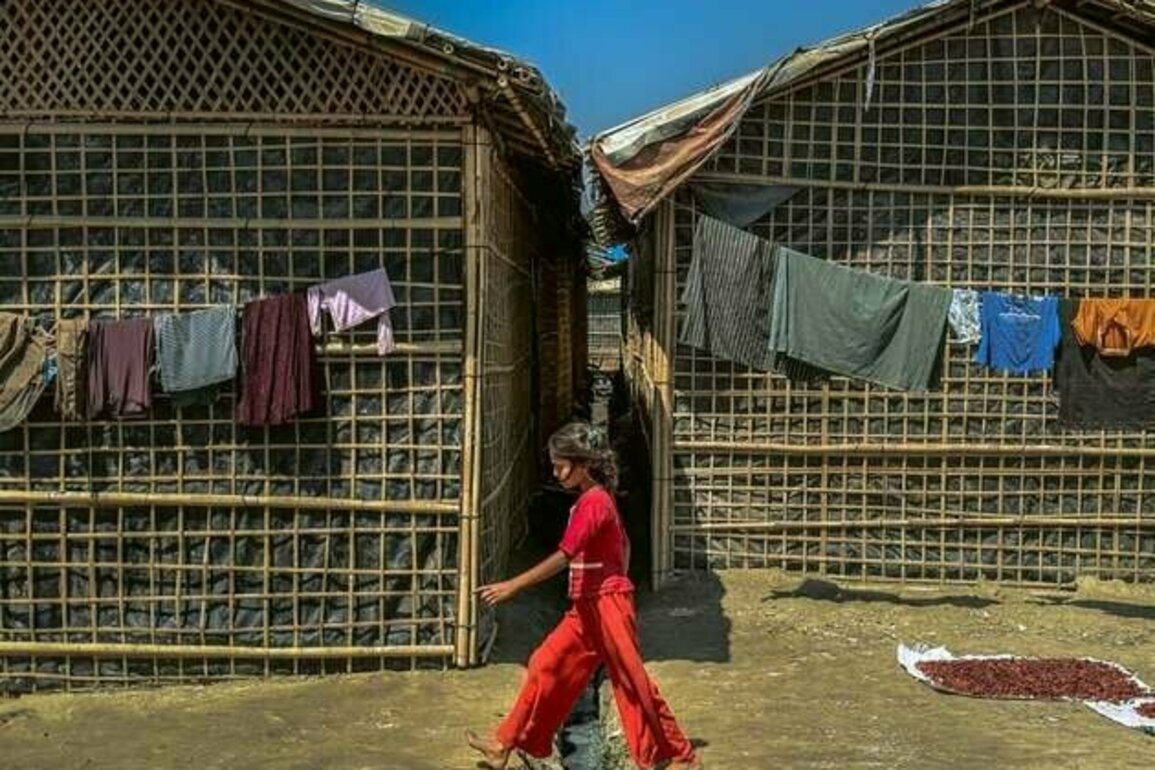 Bangladesh: Foreign Aid Cuts Affect Rohingya Children's Education