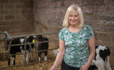 Cowmen comment: Rosemary Collingborn - 'Silaging was made even more exciting by a cow getting stuck in the parlour'