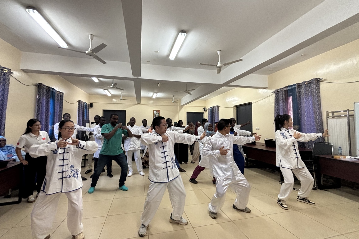 NIGER-NIAMEY-CHINESE MEDICAL TEAM-TCM-TRAINING PROGRAM
