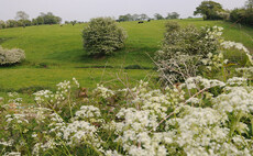 40 per cent boost in hedgerows win-win for farmers