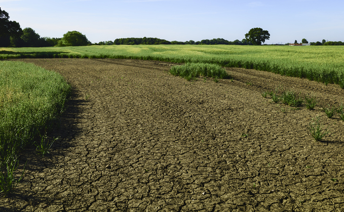 UK drought: Crop harvests at severe risk of collapse