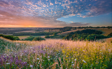 'Positive outcomes': Brits increasingly turning to nature to boost health and wellbeing