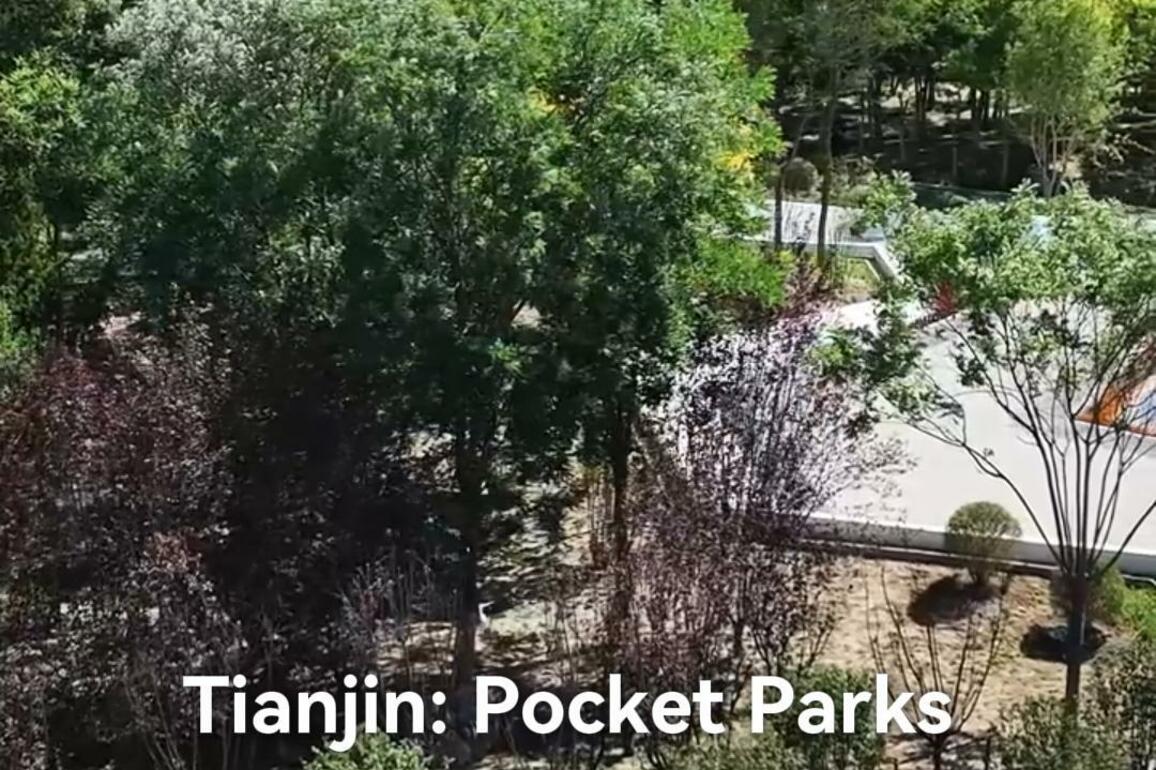 60"FlyOverChina | "Pocket parks" bring richer urban life to N China's Tianjin