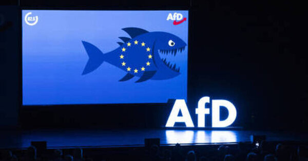 What the AfD really wants from China