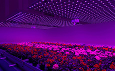 PlantLab raises $20m from De Hoge Dennen Capital – report