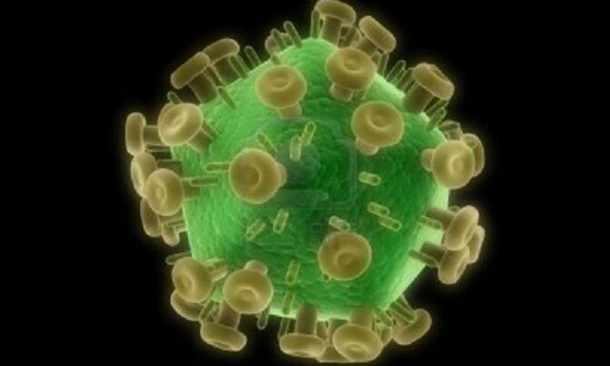 Experts urge renewed push on US-Thai HIV vaccine Experts urge renewed push on US-Thai HIV vaccine
