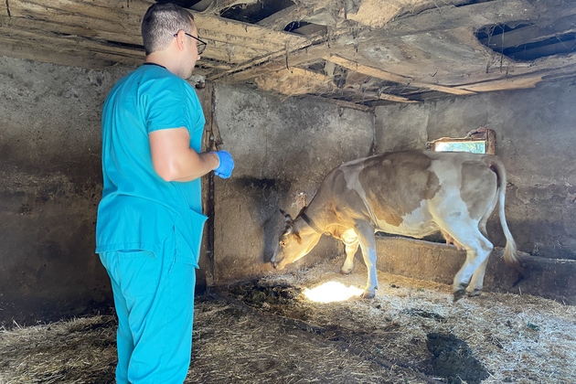 TRKIYE-KIRKLARELI-FOOT-AND-MOUTH DISEASE-OUTBREAK