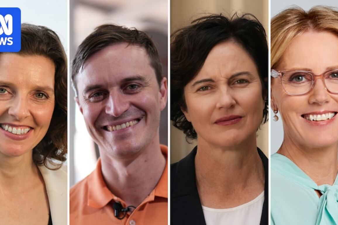 Half of Climate 200-backed independent candidates declare donations ahead of 2025 election