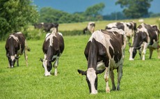 Arla announces 0.55ppl conventional milk price rise for October