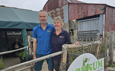 Buckinghamshire market garden produces winning formula for supplying food locally