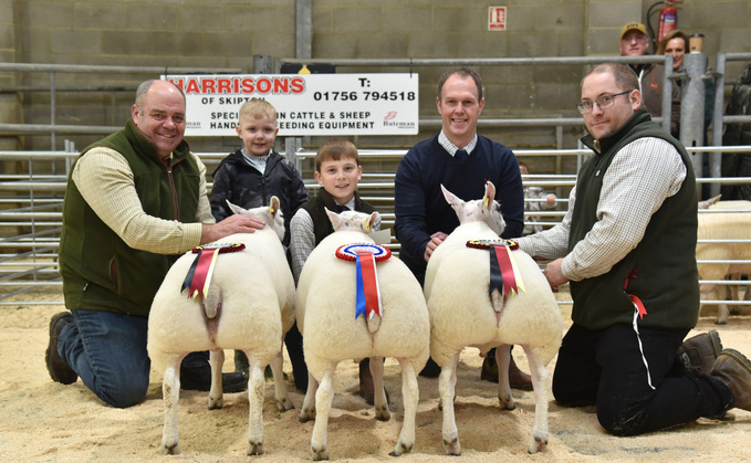 Skipton champion lambs sell for a record breaking £800/head