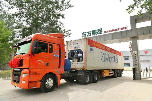 Economy | Fresh pears from N China's Hebei to be exported to Argentina