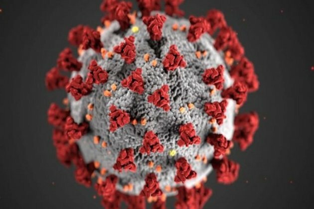 Maharashtra reports first cases of COVID subvariants B.A. 4, B.A. 5, mild symptoms observed