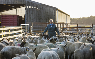 Women in farming report lower mental well-being than national average in every age group, study shows
