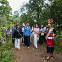 CHINA-YUNNAN-PU'ER-JINGMAI MOUNTAIN-OLD TEA FORESTS-TOURISM (CN)