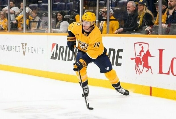 Wild acquire F Gustav Nyquist from Predators