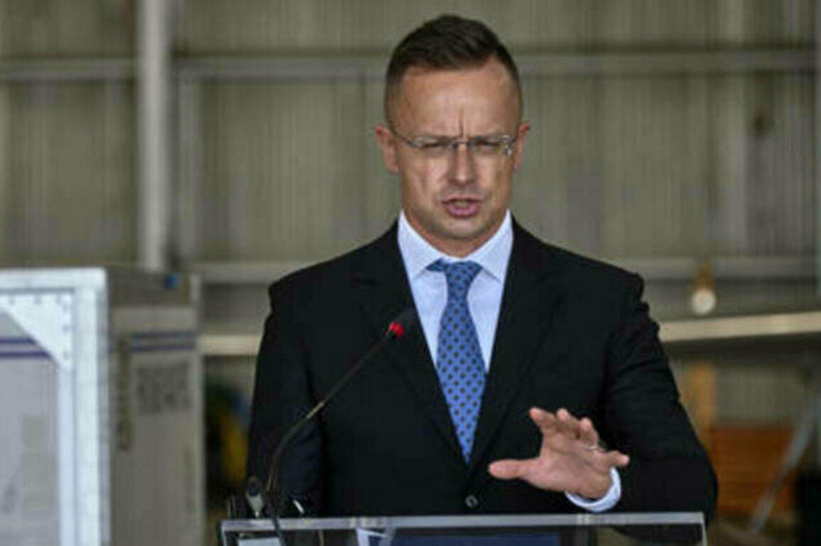 Brussels preparing for a 'long war, not peace' - EU state