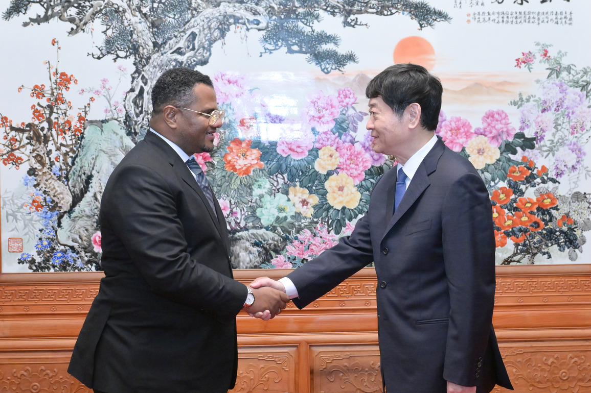 CHINA-BEIJING-MU HONG-KENYA-UNITED DEMOCRATIC ALLIANCE DELEGATION-MEETING (CN)