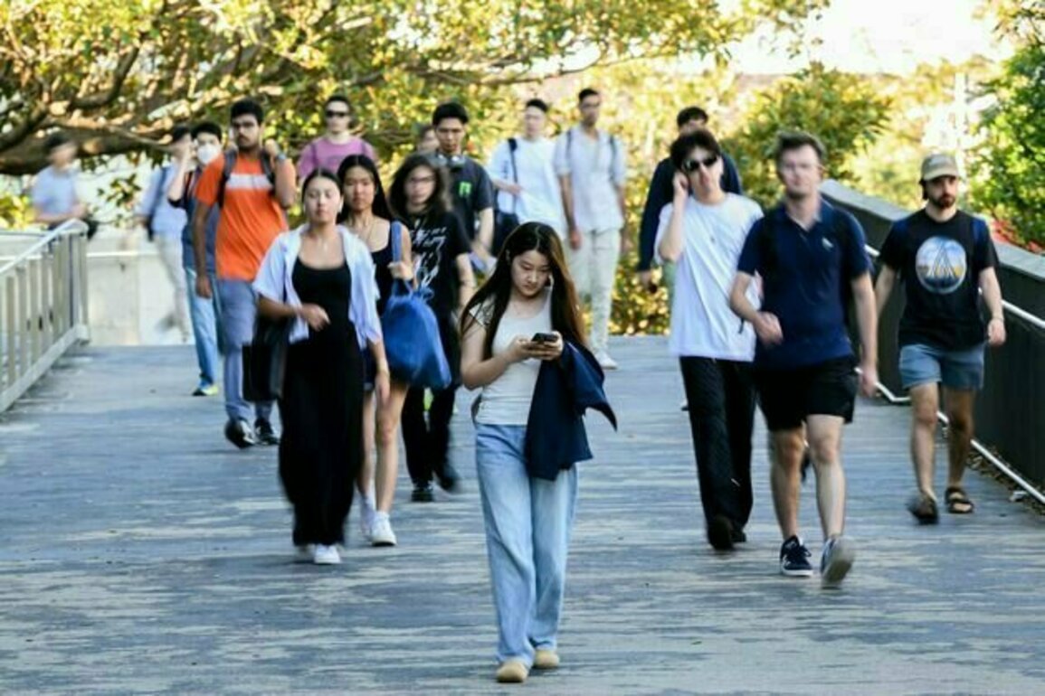 Labor has promised fast action to cut student debt, but arts students will have to wait for lower fees