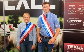 Young shepherds shine at NSA Sheep event