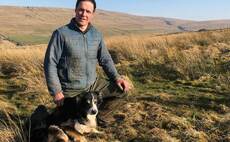 In your field: Thomas Carrick - 'A cold Leicester tup lamb sheltering behind a wall with no girls is a sad sight'