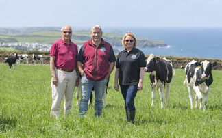 Managing 800 cows on Cornish grass: How the Pennington family run a two-site dairy farm