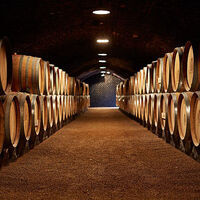 Distillers, winemakers, chemical firms unhappy with US tariff ruling