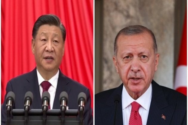 G20: Xi, Erdogan look to mend fences internationally