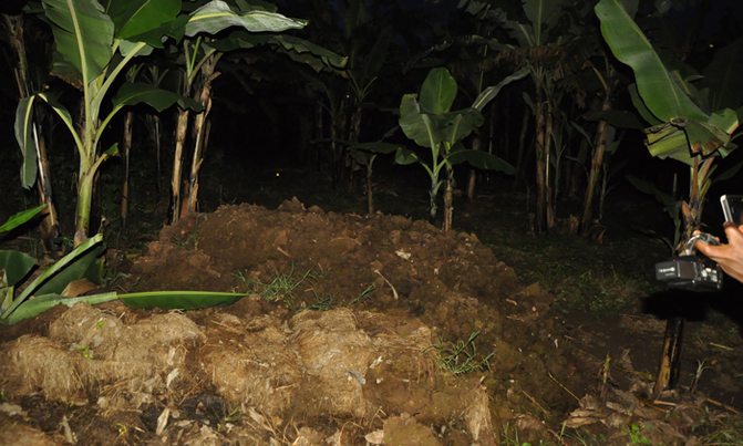 Agriculture scientists want review on GMO law Agriculture scientists want review on GMO law